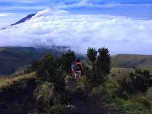 Peter Roberts, member of the Point Hacks editorial team | Point Hacks