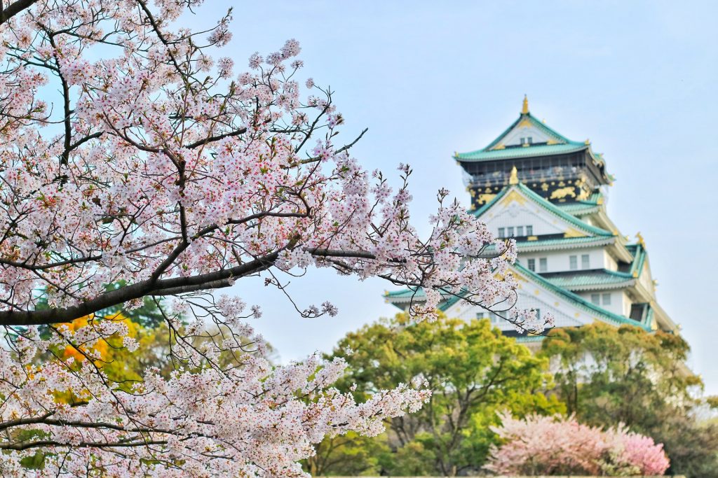 Osaka Cherry Blossom | Point Hacks