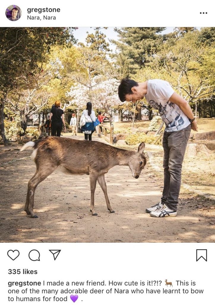 Greg Store in Nara with deer
