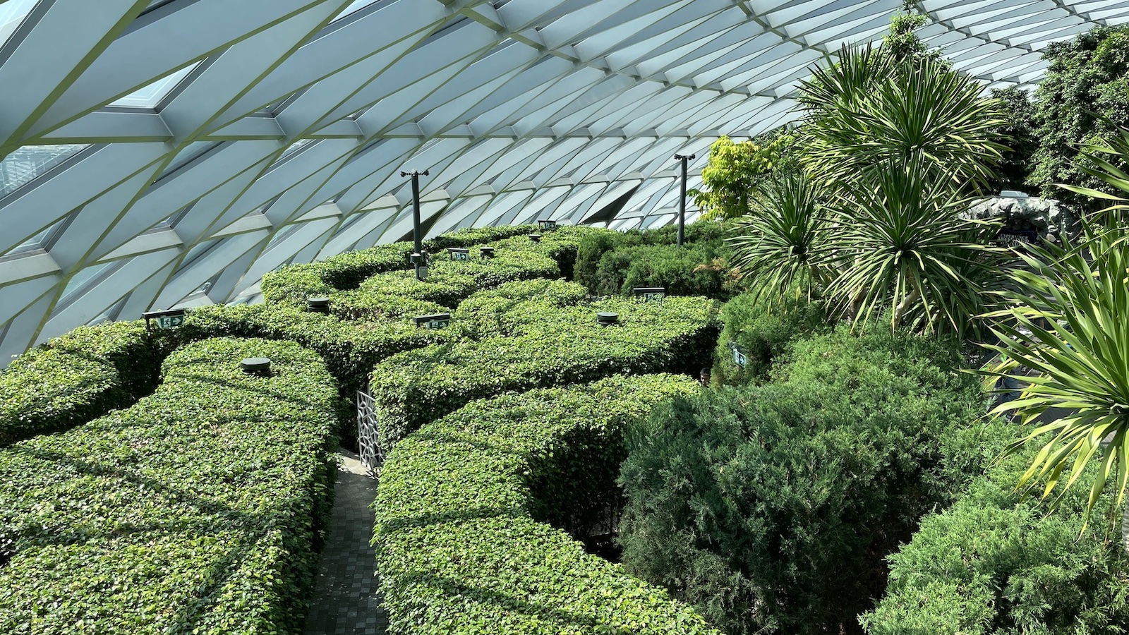 Changi Singapore Airport Hedge Maze