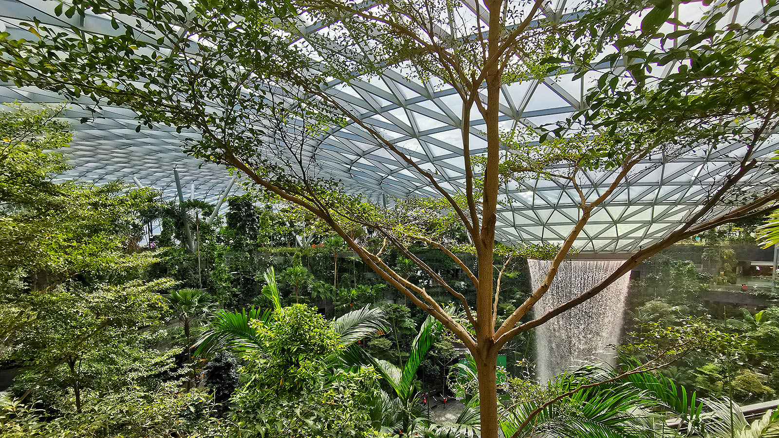 Singapore Changi Airport Rain Vortex Trees