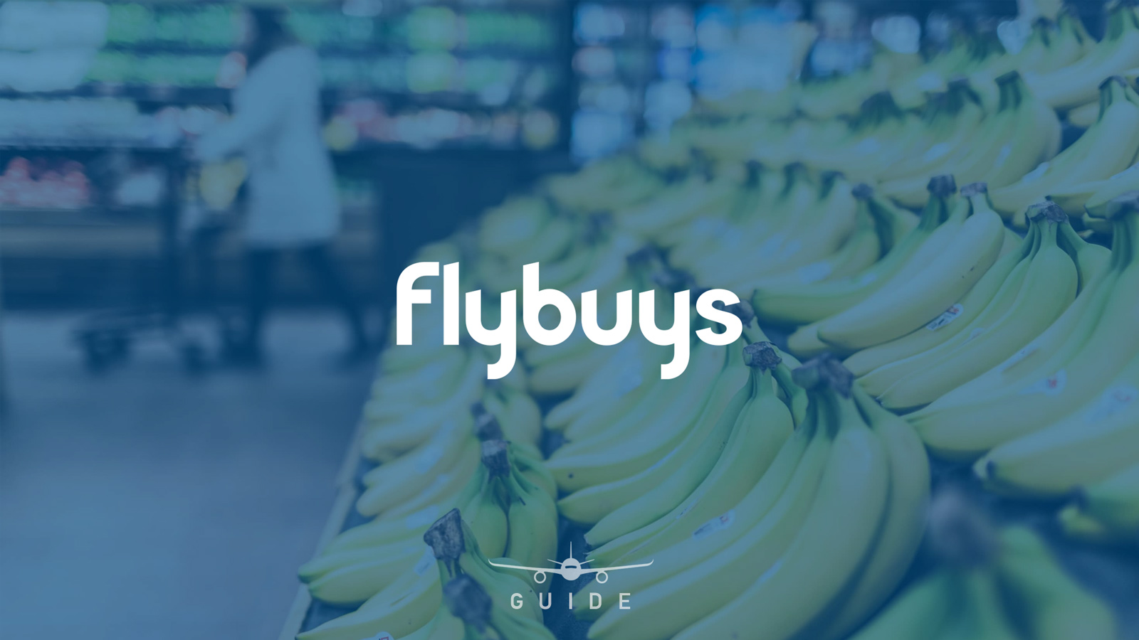 Introduction to the Flybuys program