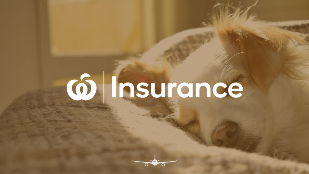 Your In depth Guide To Woolworths Pet Insurance Point Hacks