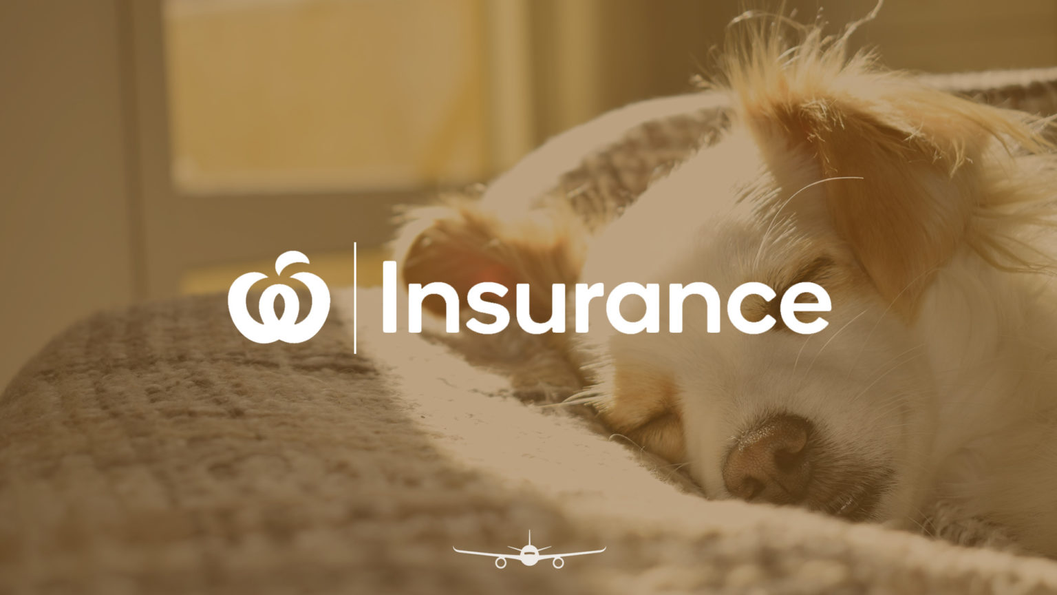 Your indepth guide to Woolworths Pet Insurance Point Hacks