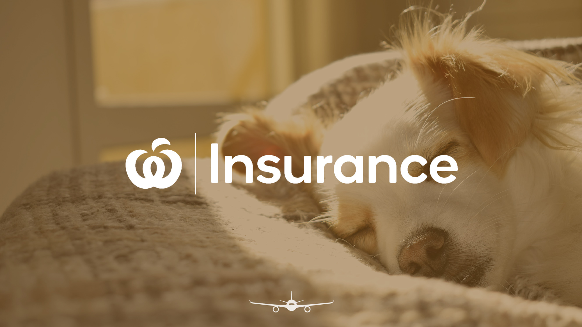 Your In Depth Guide To Woolworths Pet Insurance Point Hacks