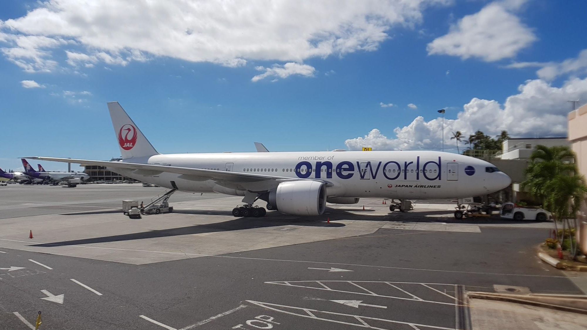 JAL oneworld airplane on tarmac
