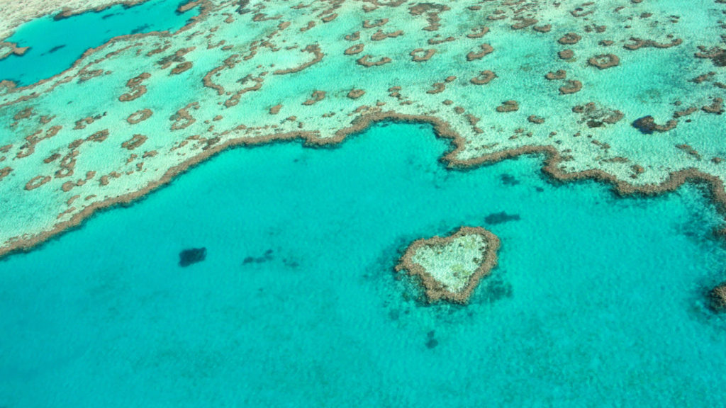 Heart Island Great Barrier Reef