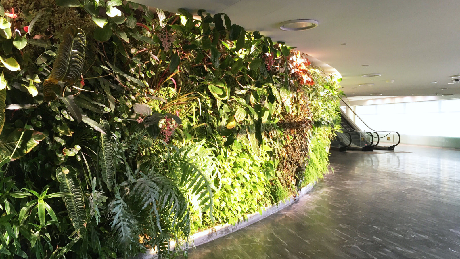 Qantas Sydney First Lounge Entrance