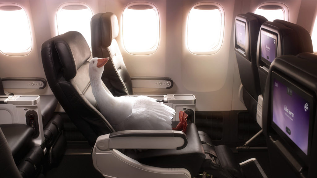 Air New Zealand Premium Economy