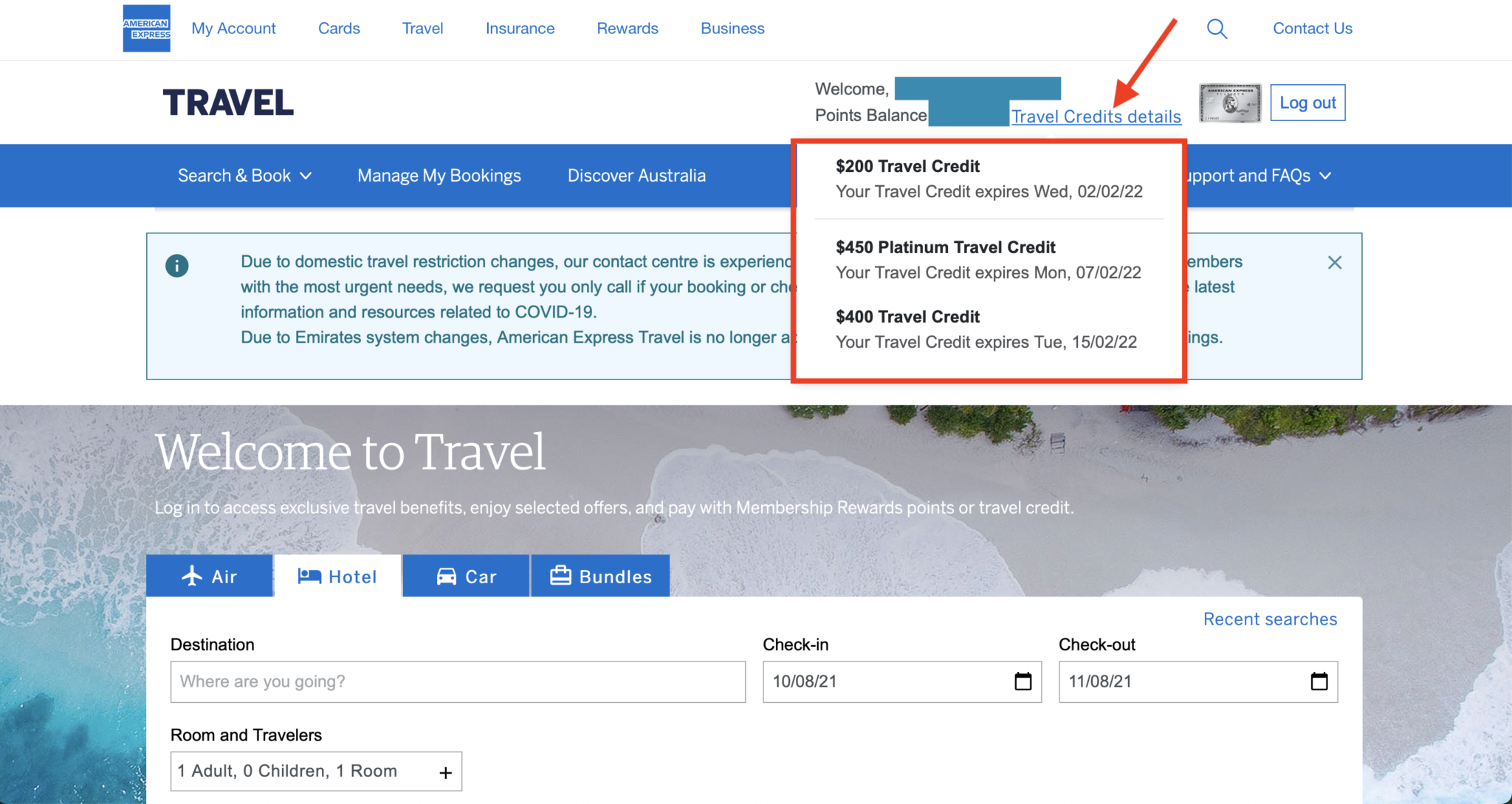 how to see amex travel credit