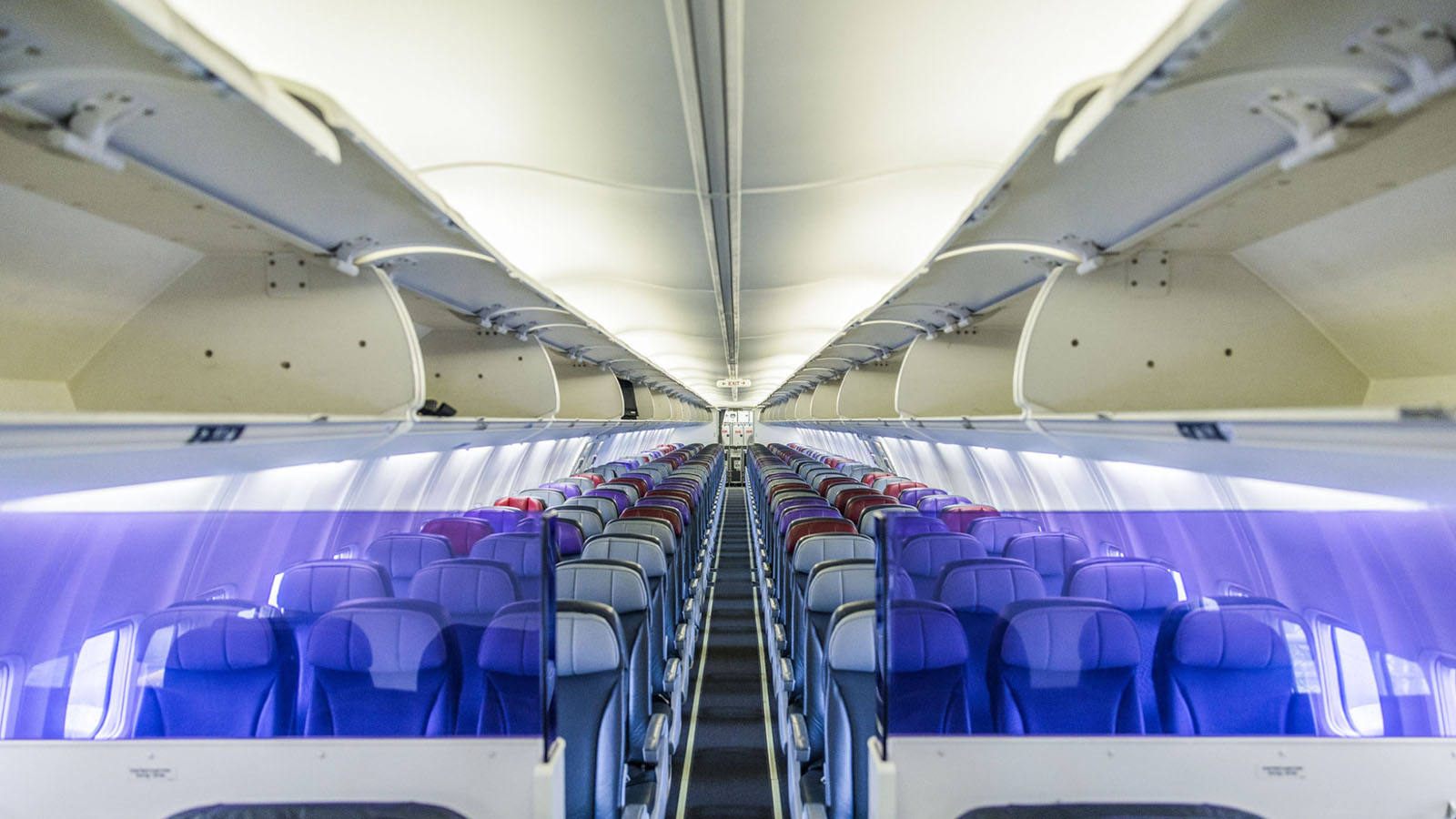 Rex Boeing 737 Economy Class