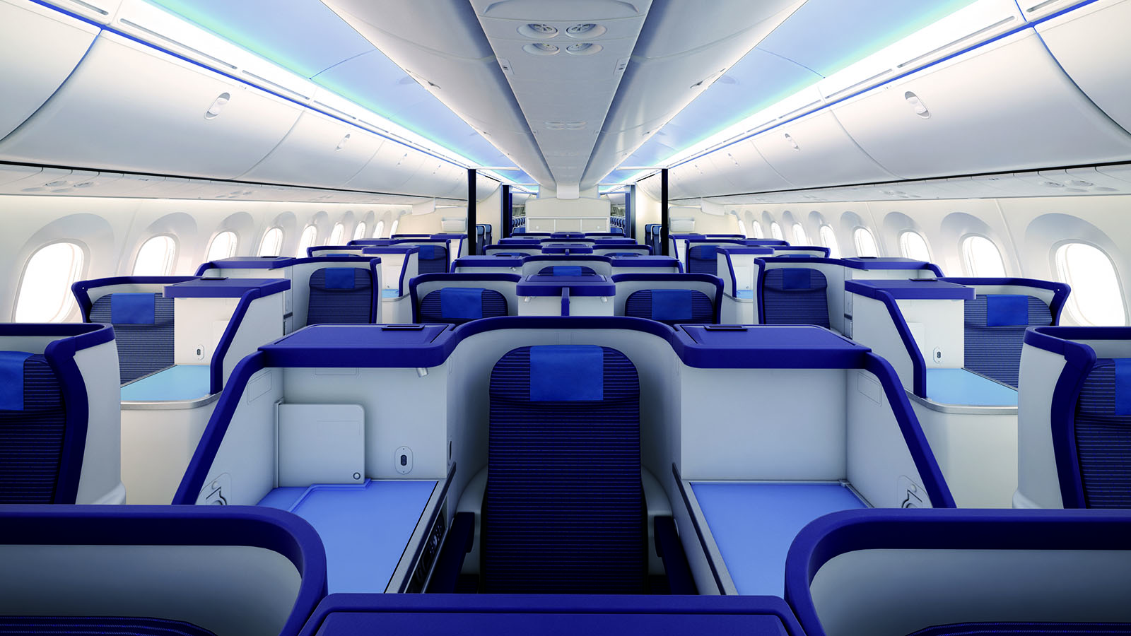 ANA Business Class