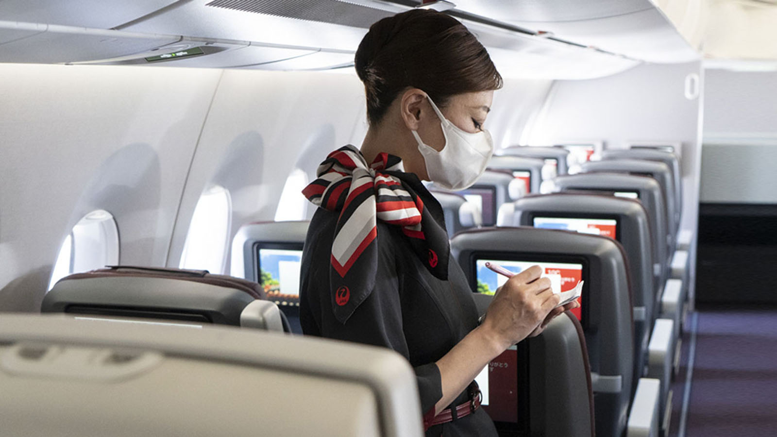 Japan Airlines Economy Class