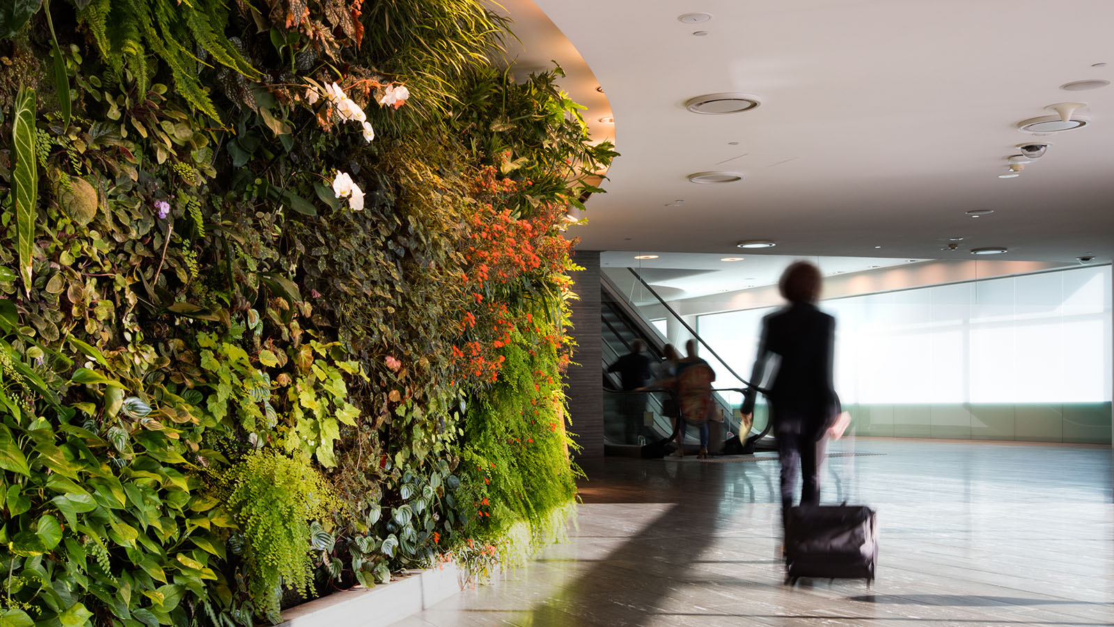 Qantas First Lounge Sydney