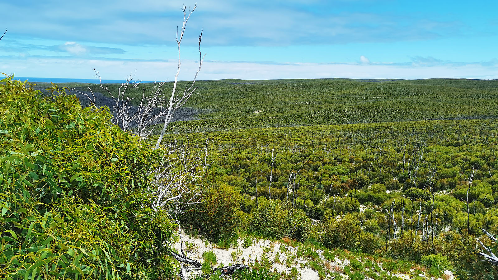 Kangaroo Island