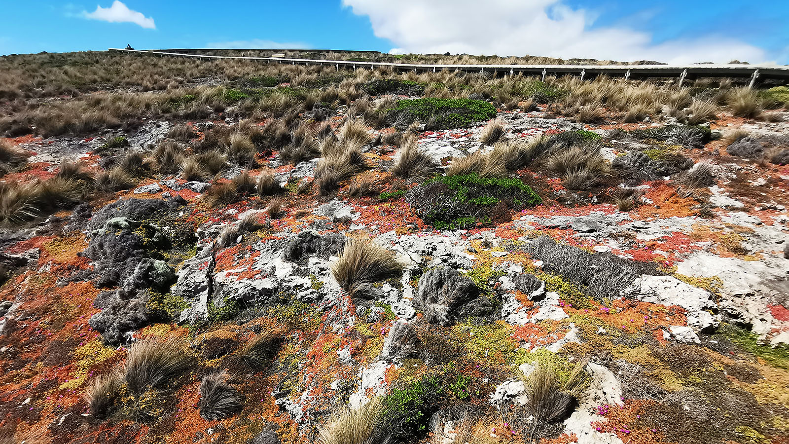 Kangaroo Island