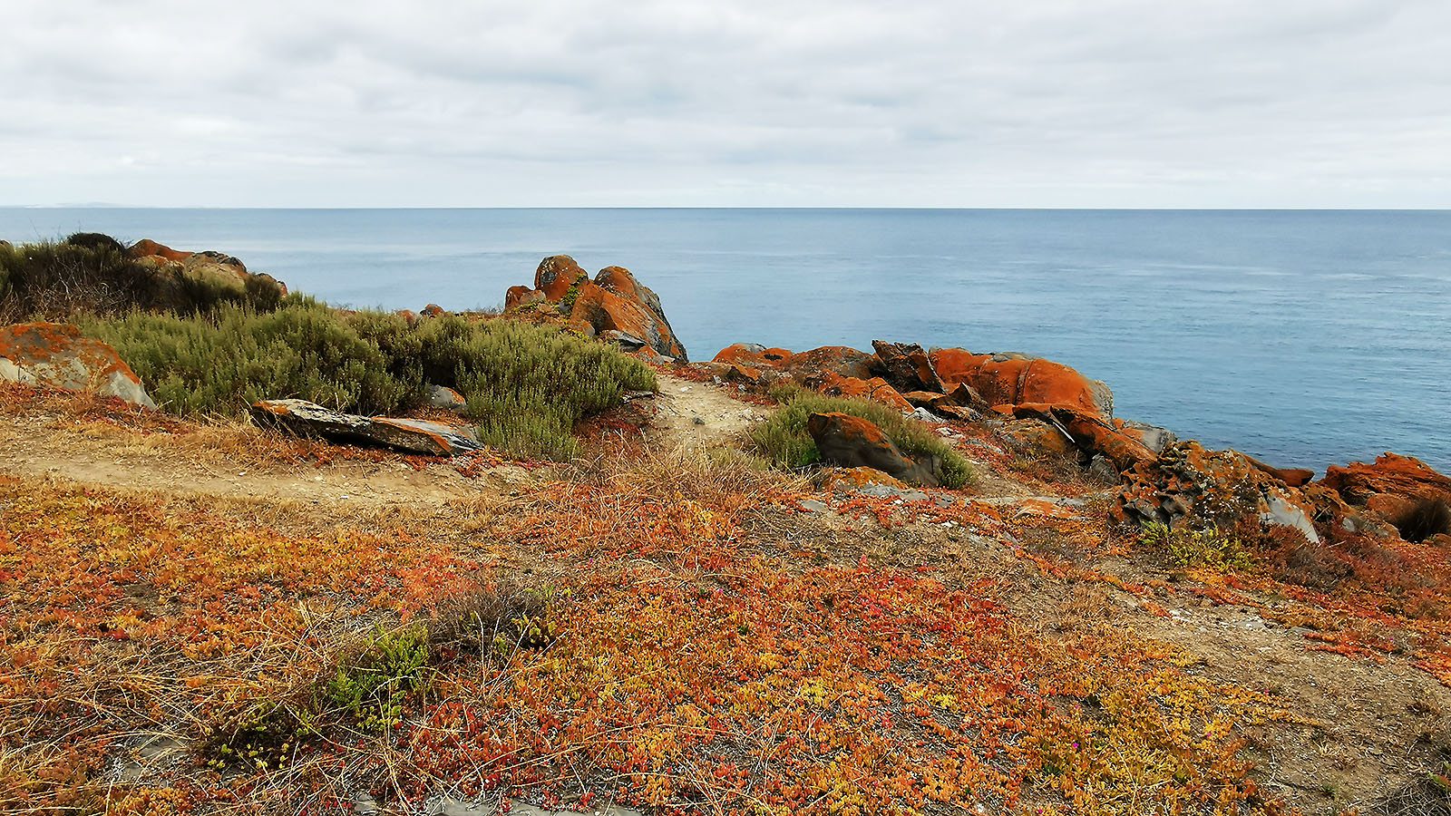 Kangaroo Island Seafront