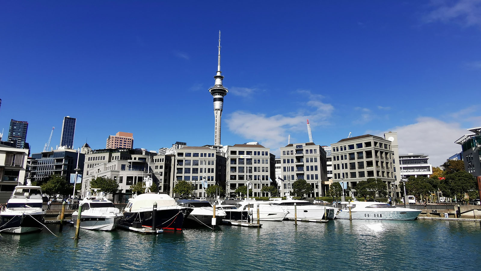 Visiting Auckland