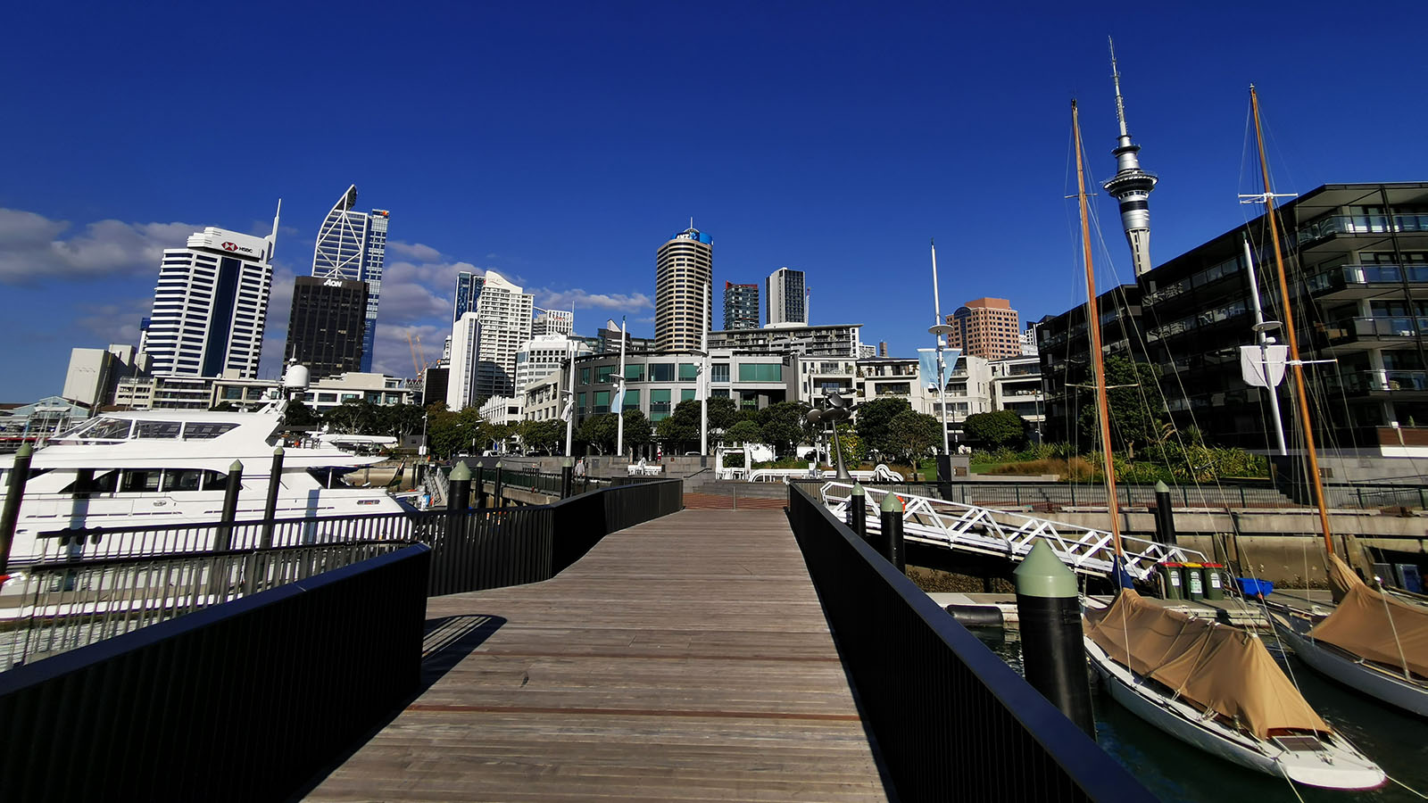 Exploring Auckland