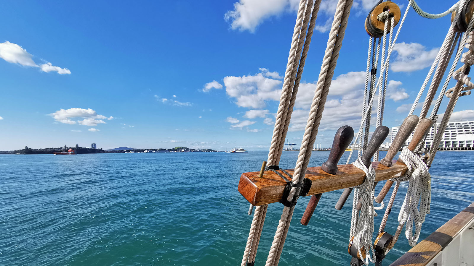 Exploring Auckland