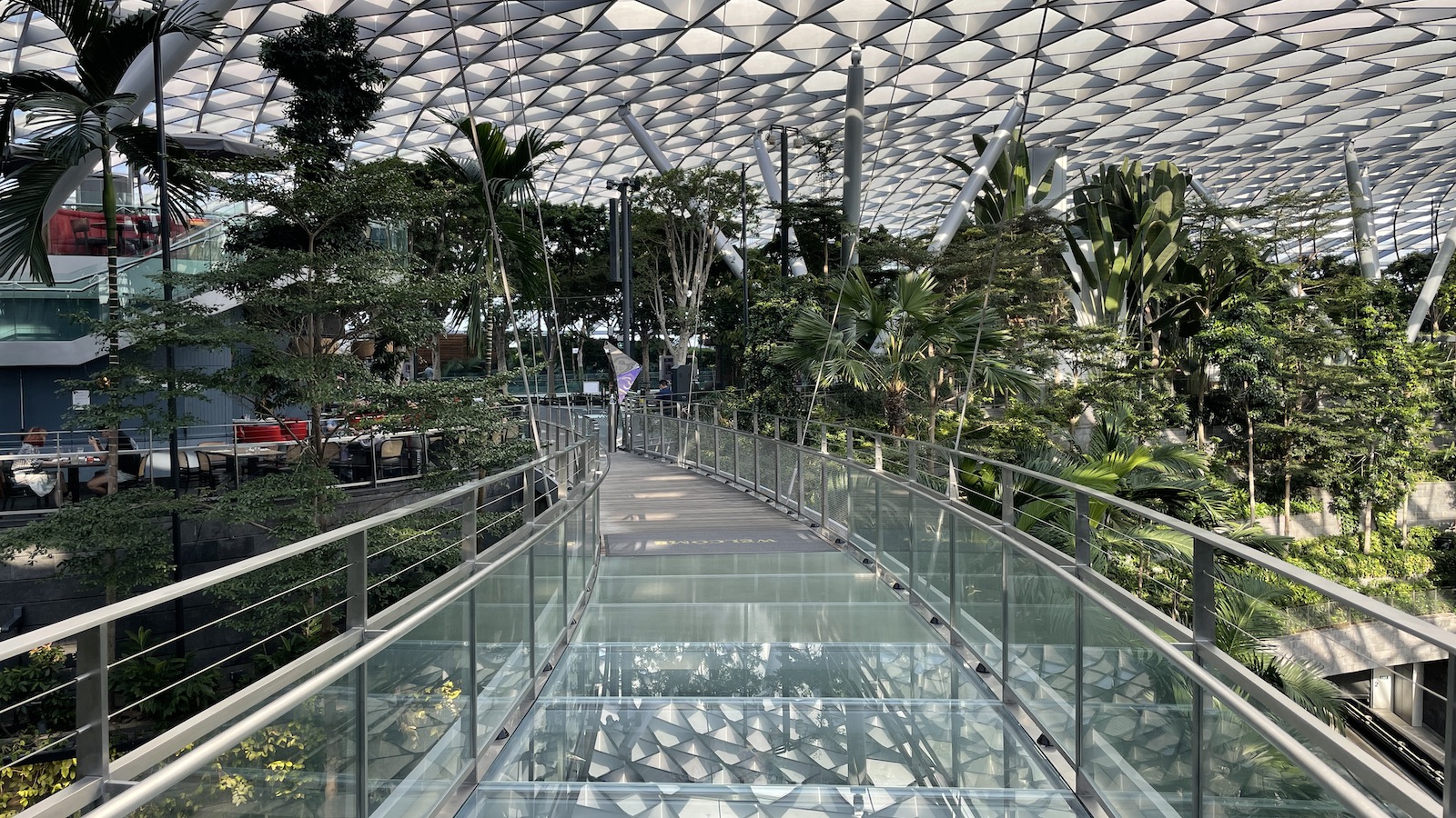 Singapore Changi Canopy Park Bridge The Jewel