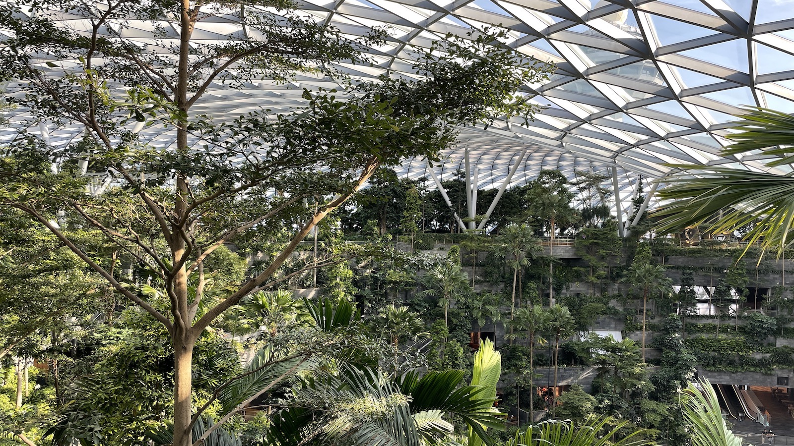 The Jewel Seishido Forest Valley Changi Airport