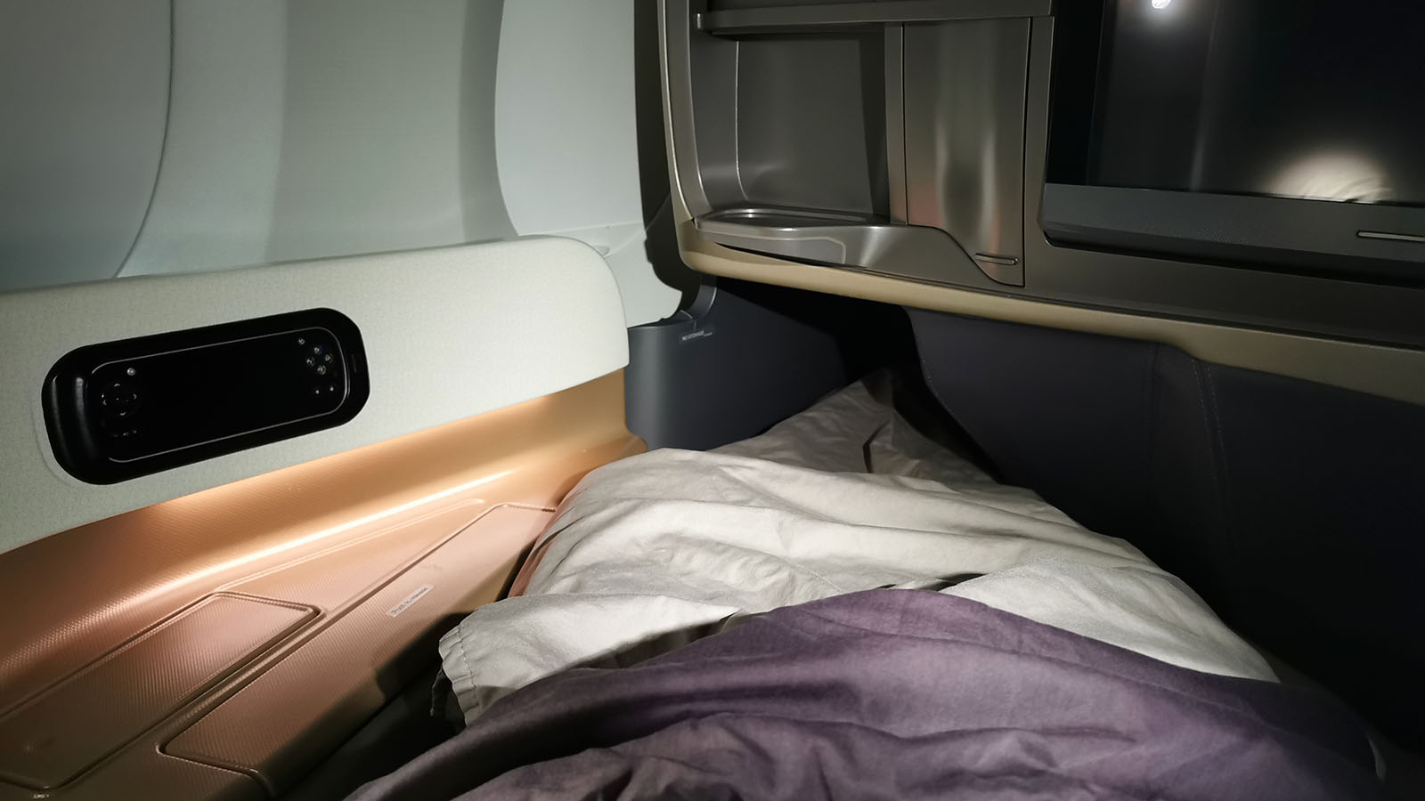 Singapore Airlines Airbus A350 Business Class