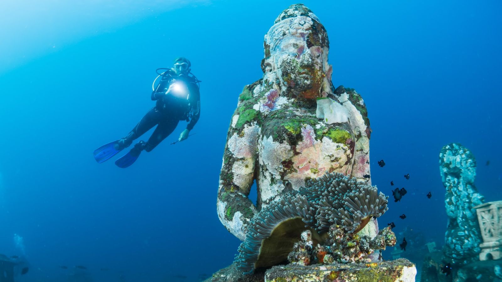 Scuba Diving in Bali - Point Hacks