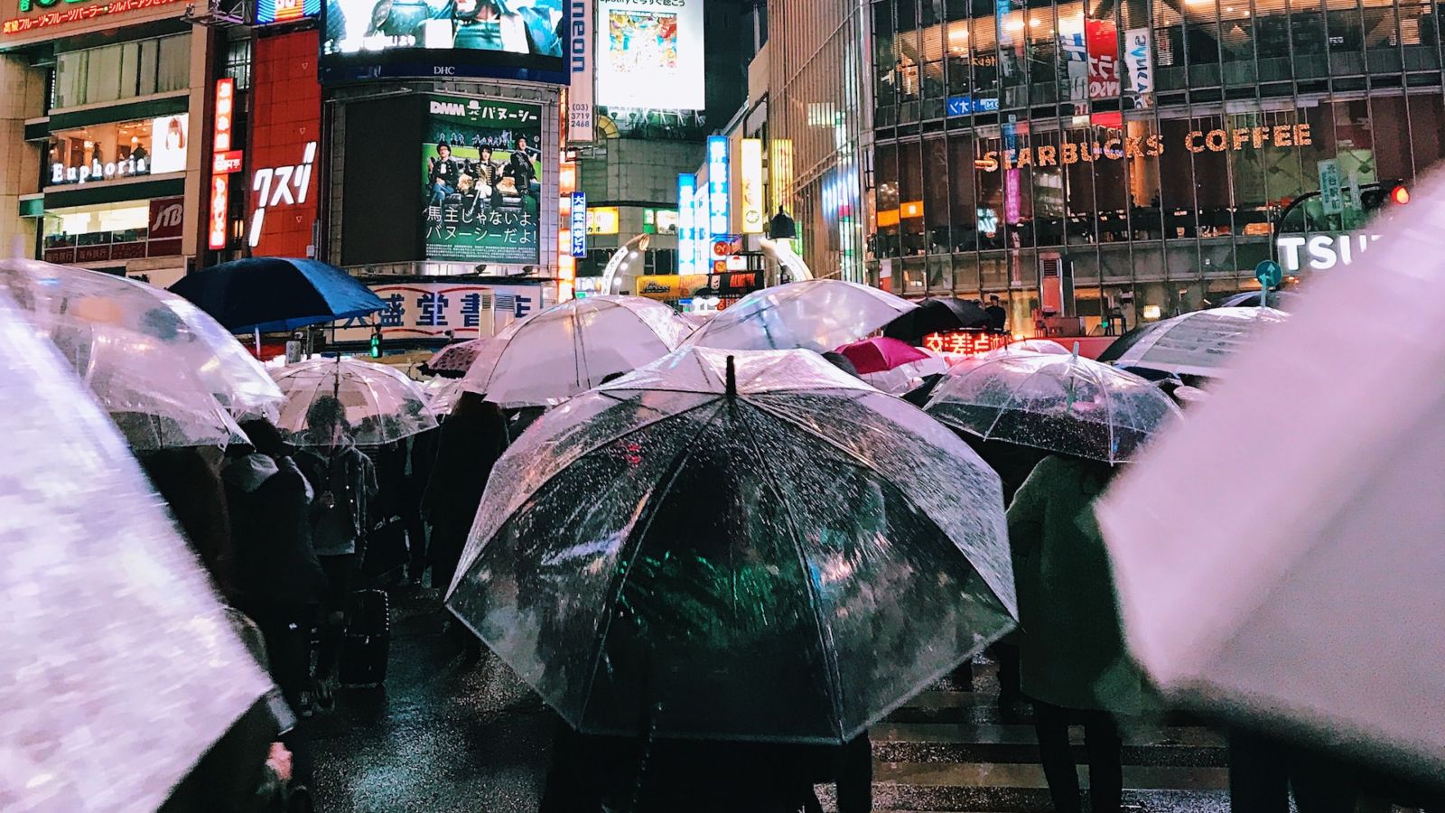 Japan umbrellas, Tokyo - Point Hacks