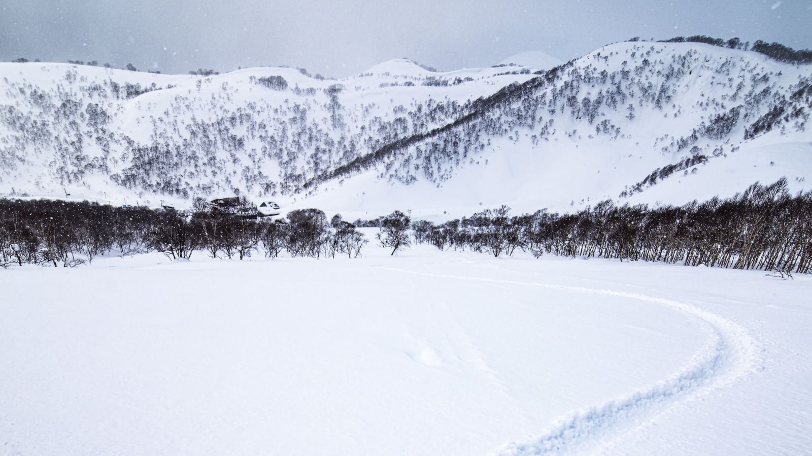 Skiing and snowboarding in Japan - Point Hacks