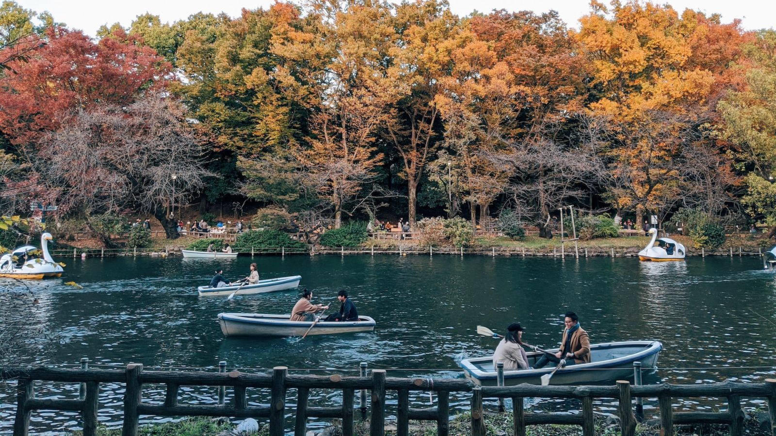 Inokashira Park, Kichijoji - Point Hacks