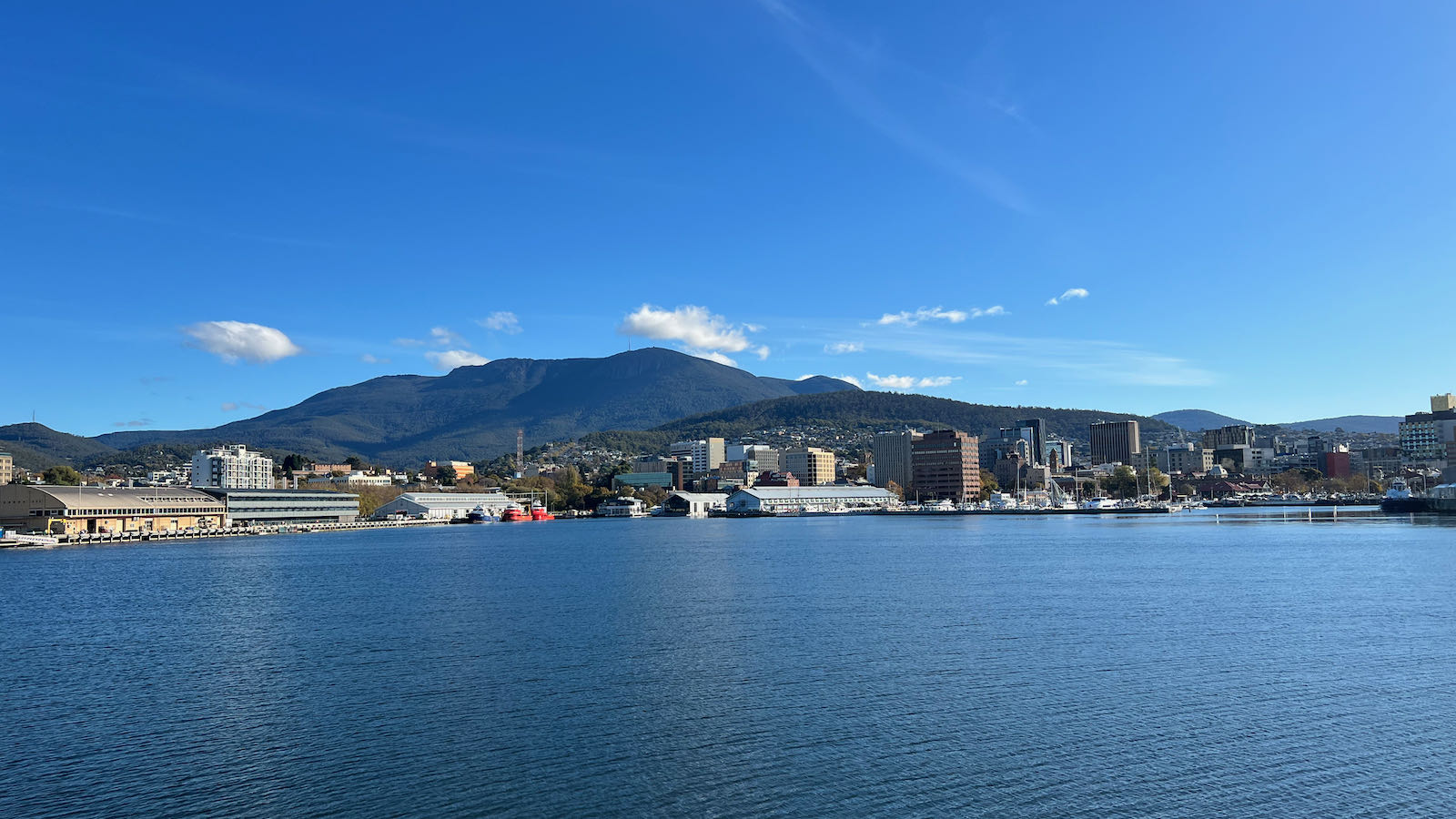 MONA ferry harbour view