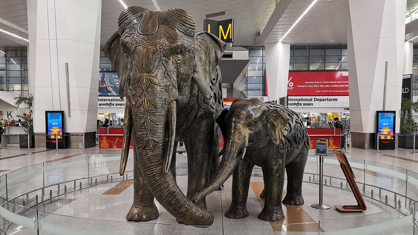 An elephant at Delhi Airport check-in for Air India Business Class