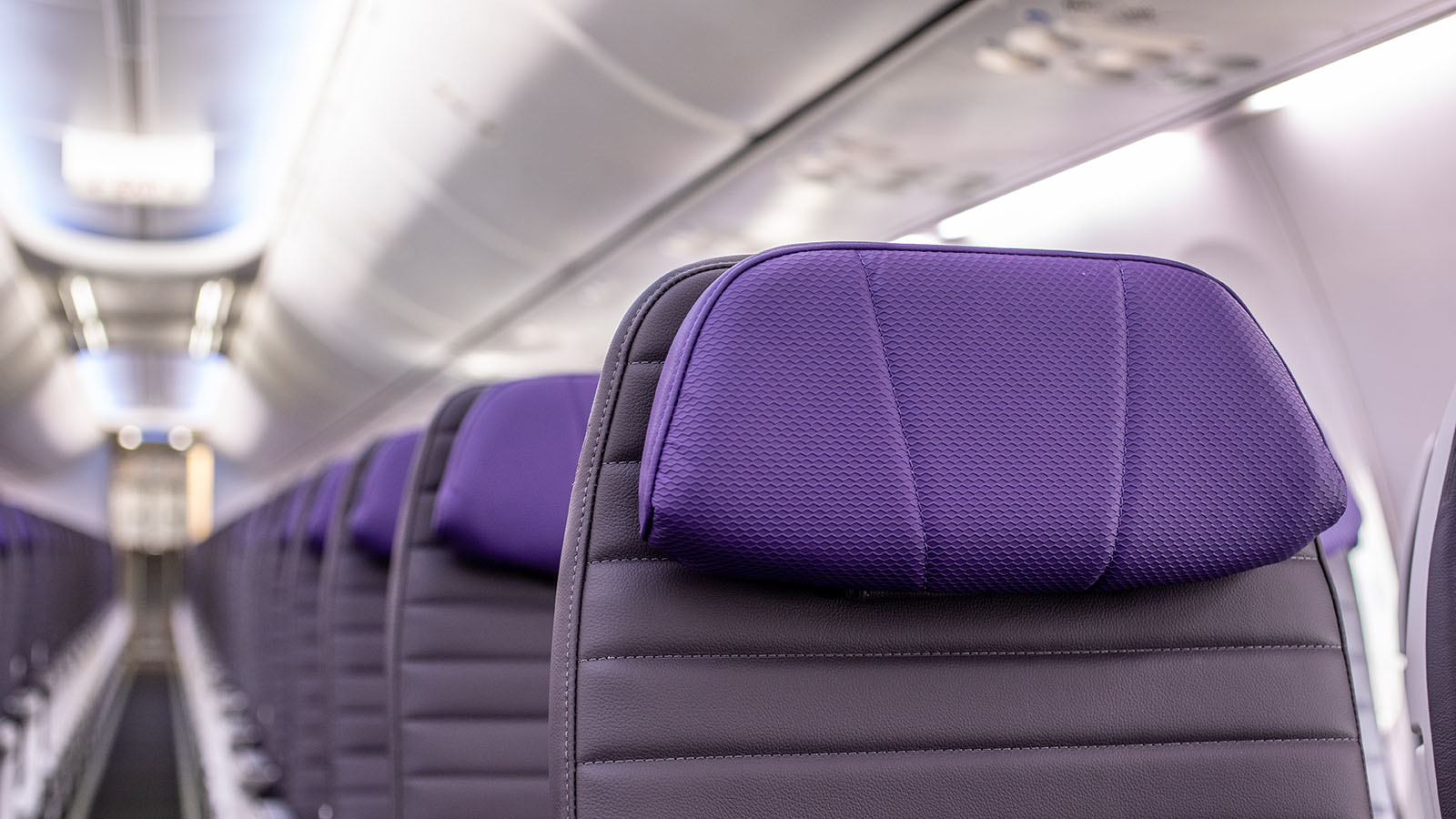 Economy Class seating on the Virgin Australia Boeing 737