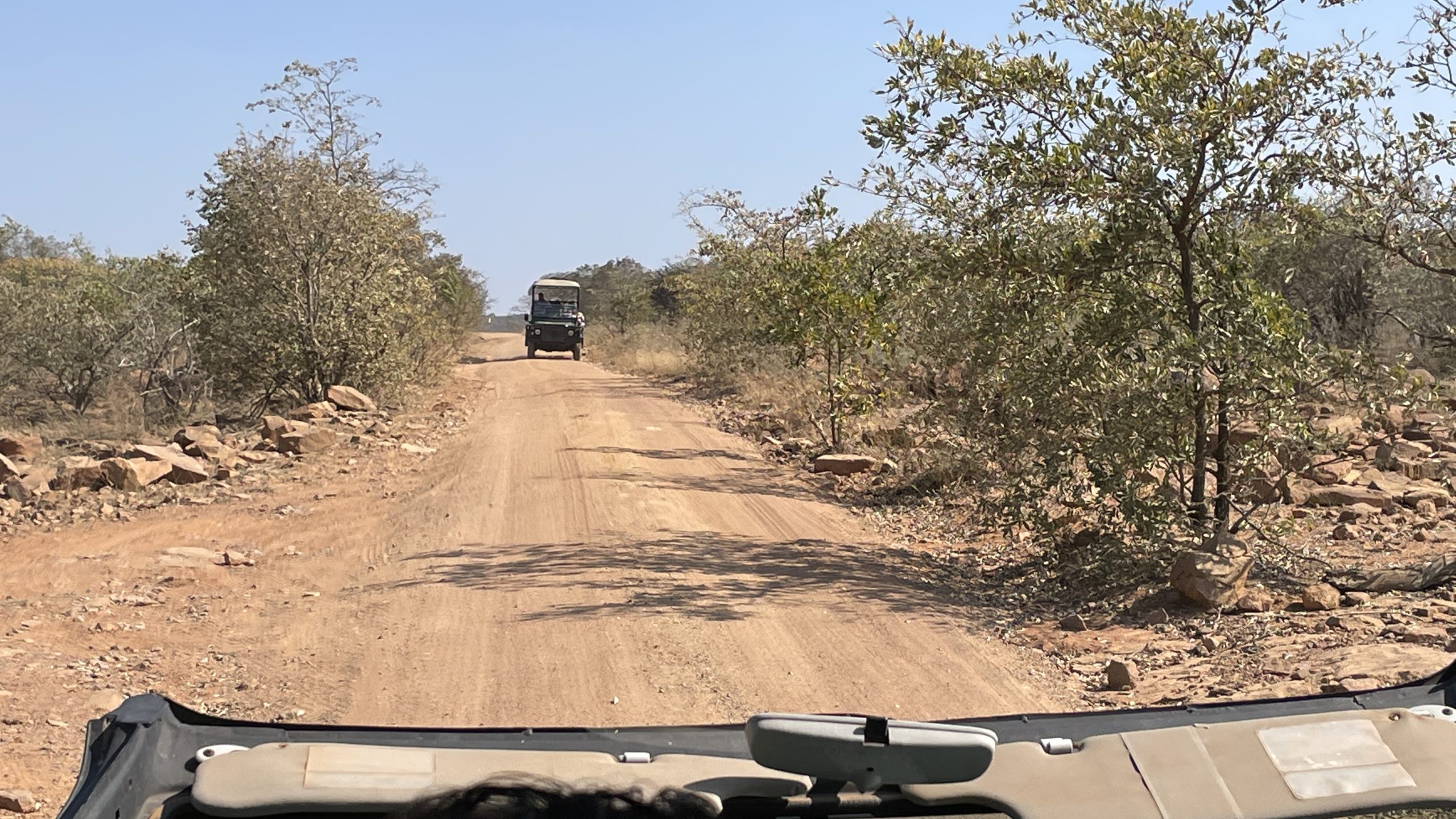 Sabatana Private Reserve Safari Vehicle Dirt Road Point Hacks by Daniel Sciberras