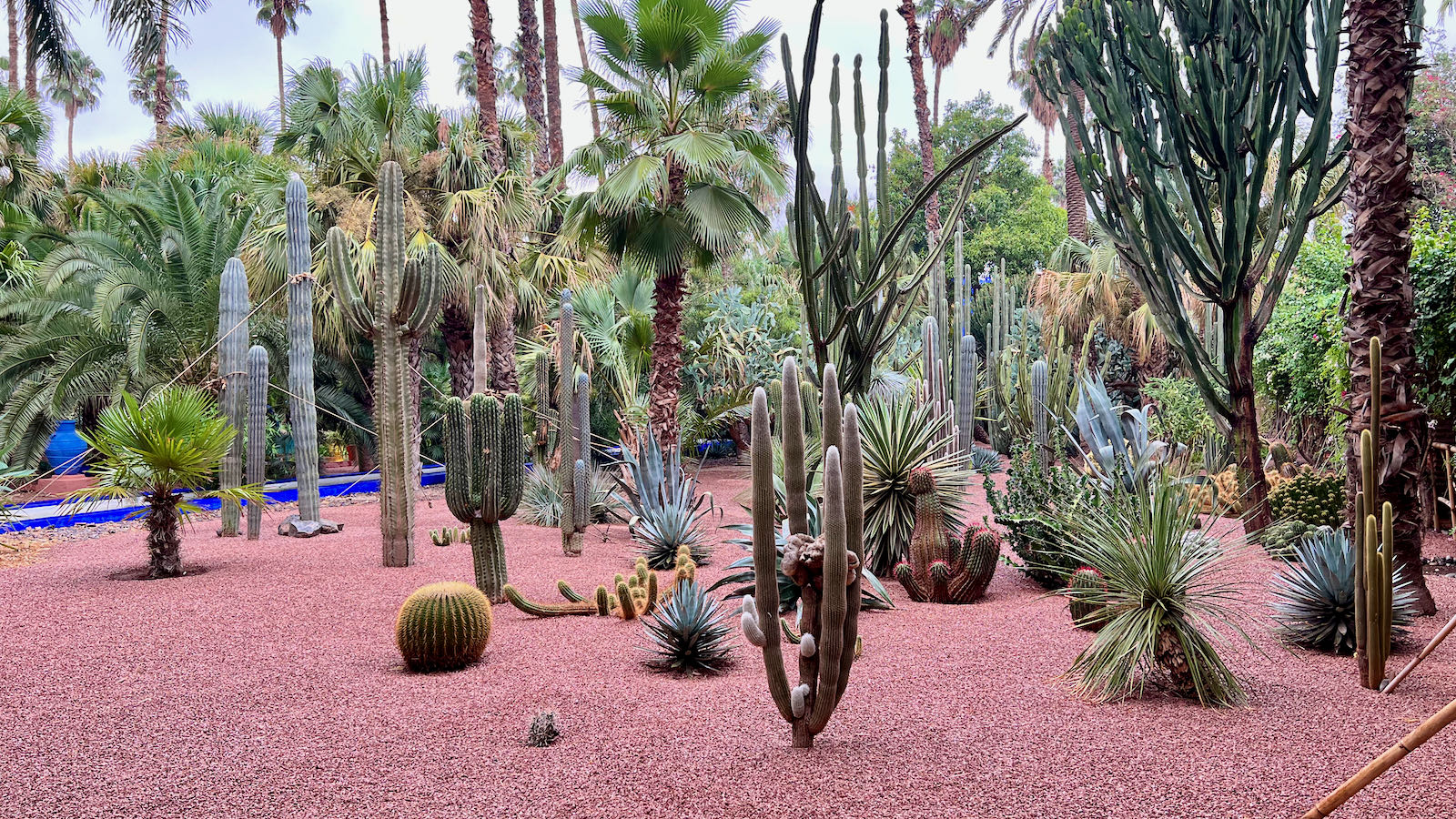 best garden Marrakech