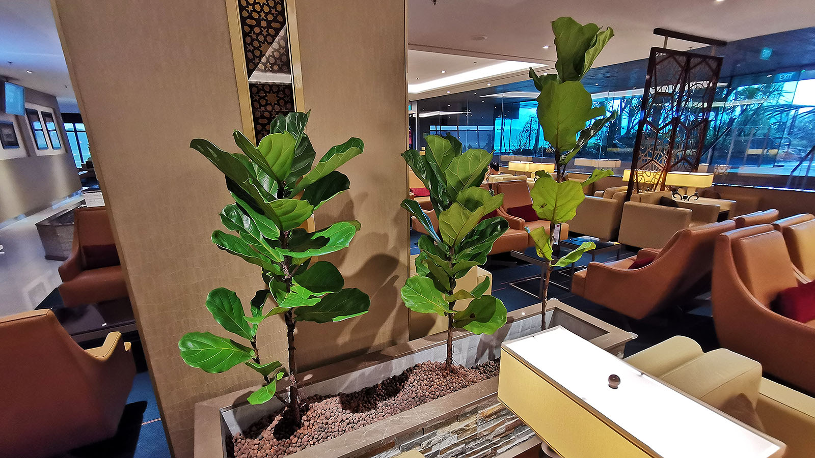 Greenery inside the Emirates Lounge, Singapore