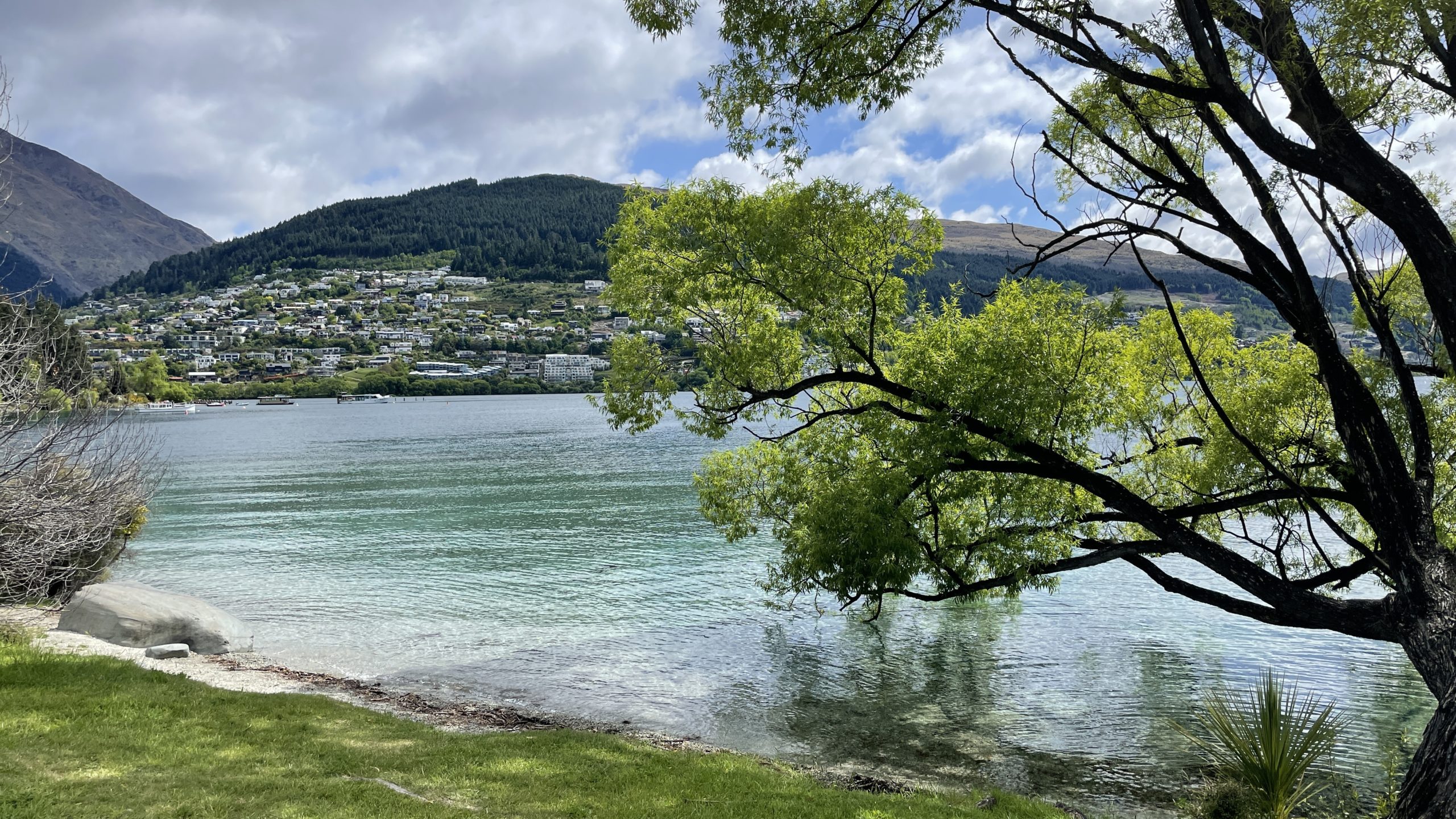 Queenstown view of lake and tree