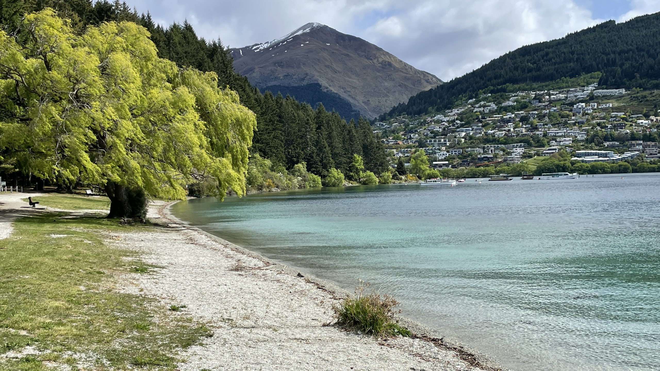 View of Queenstown city lake and tree