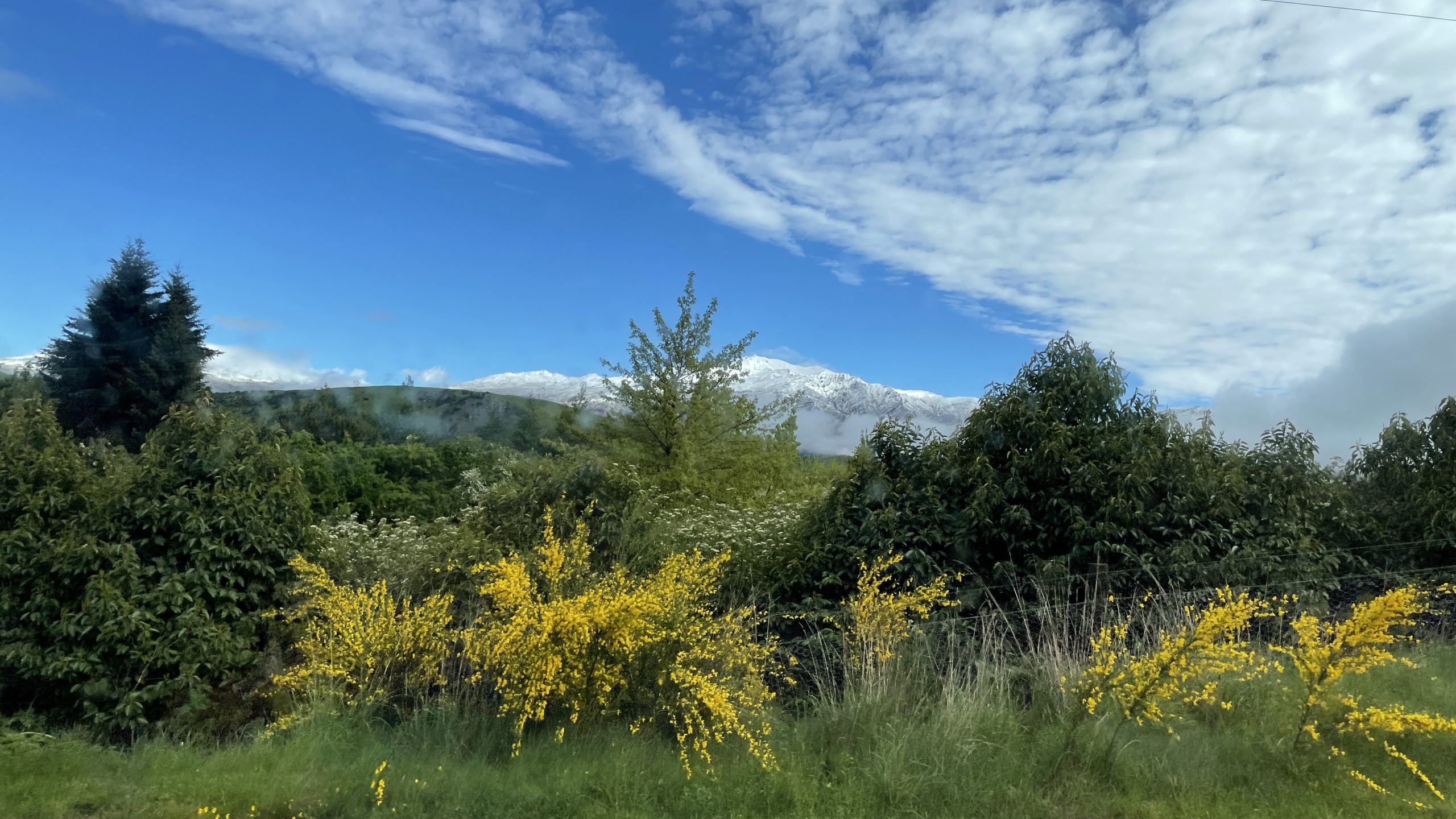 Queenstow snow capped mountains green shrubbery