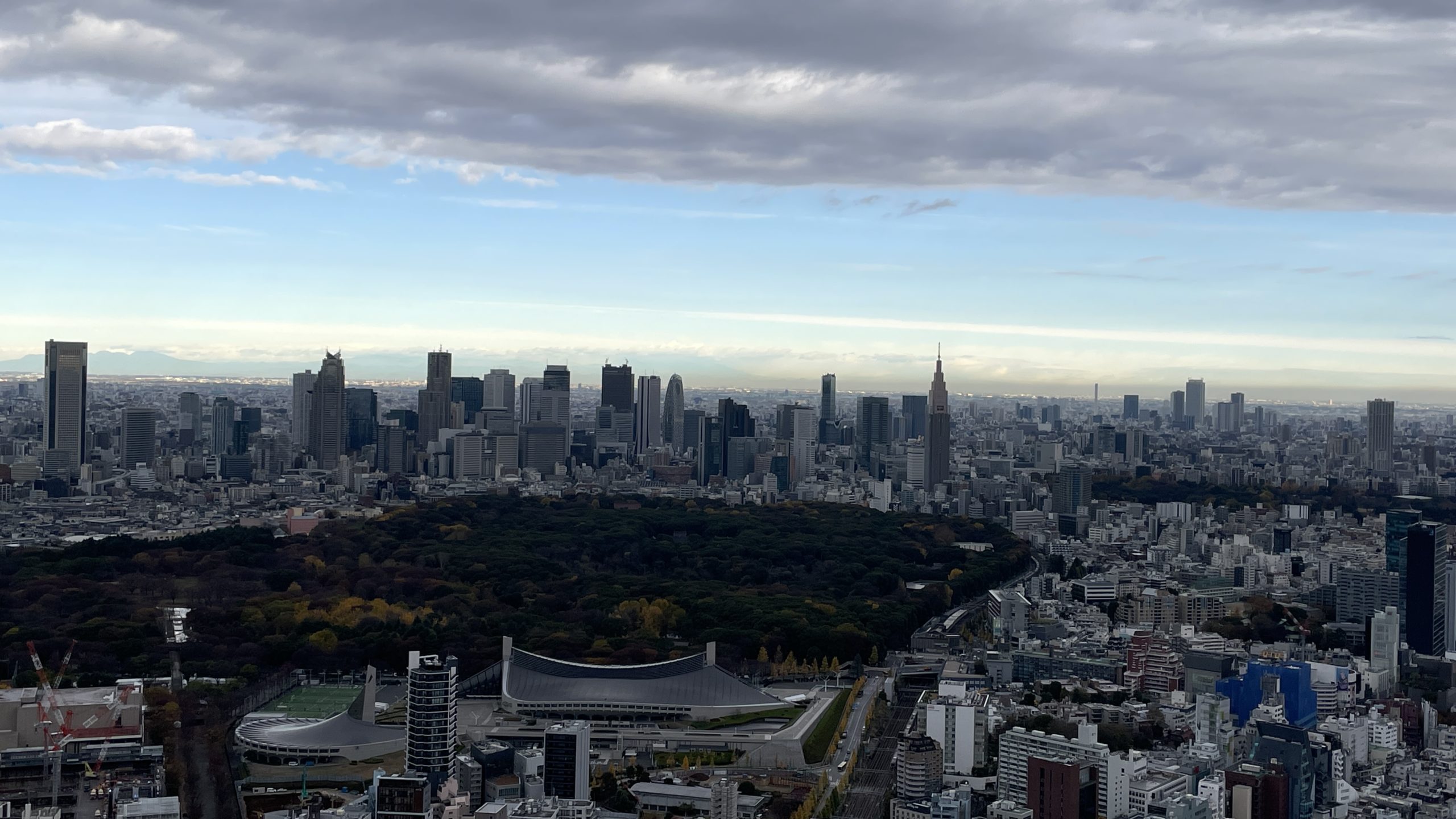 Shibuya Sky view of city and parkland