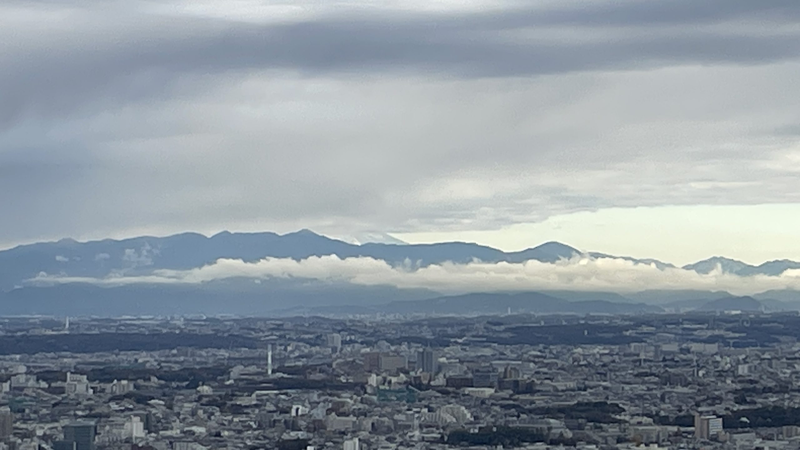 View of Mt Fuji from Shibuya Sky