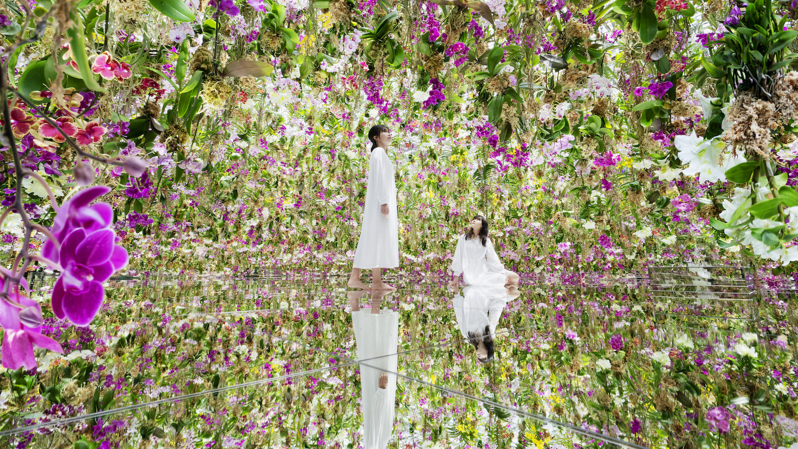 teamLab Planets flower garden room