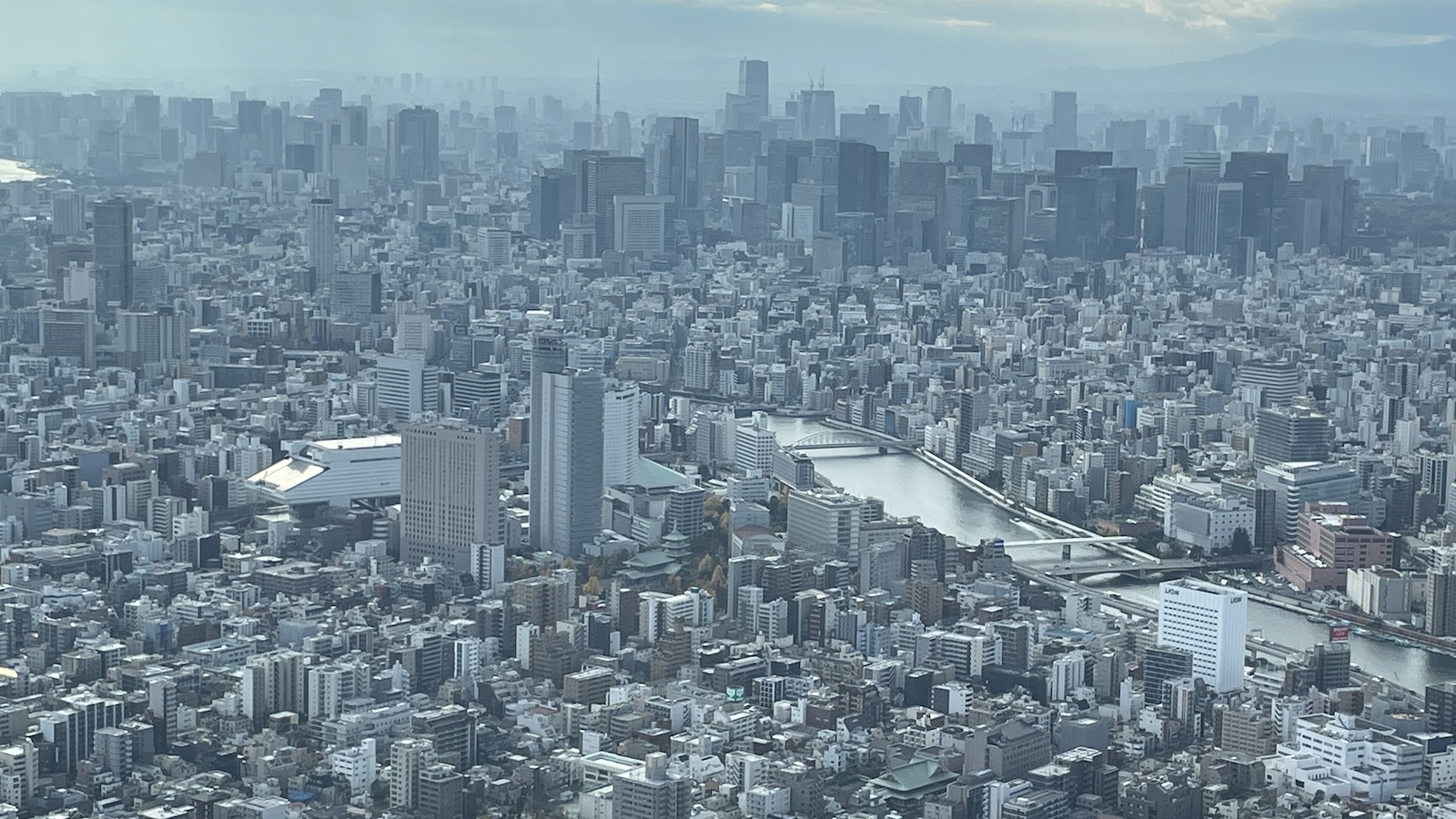 Tokyo Skytree view of city