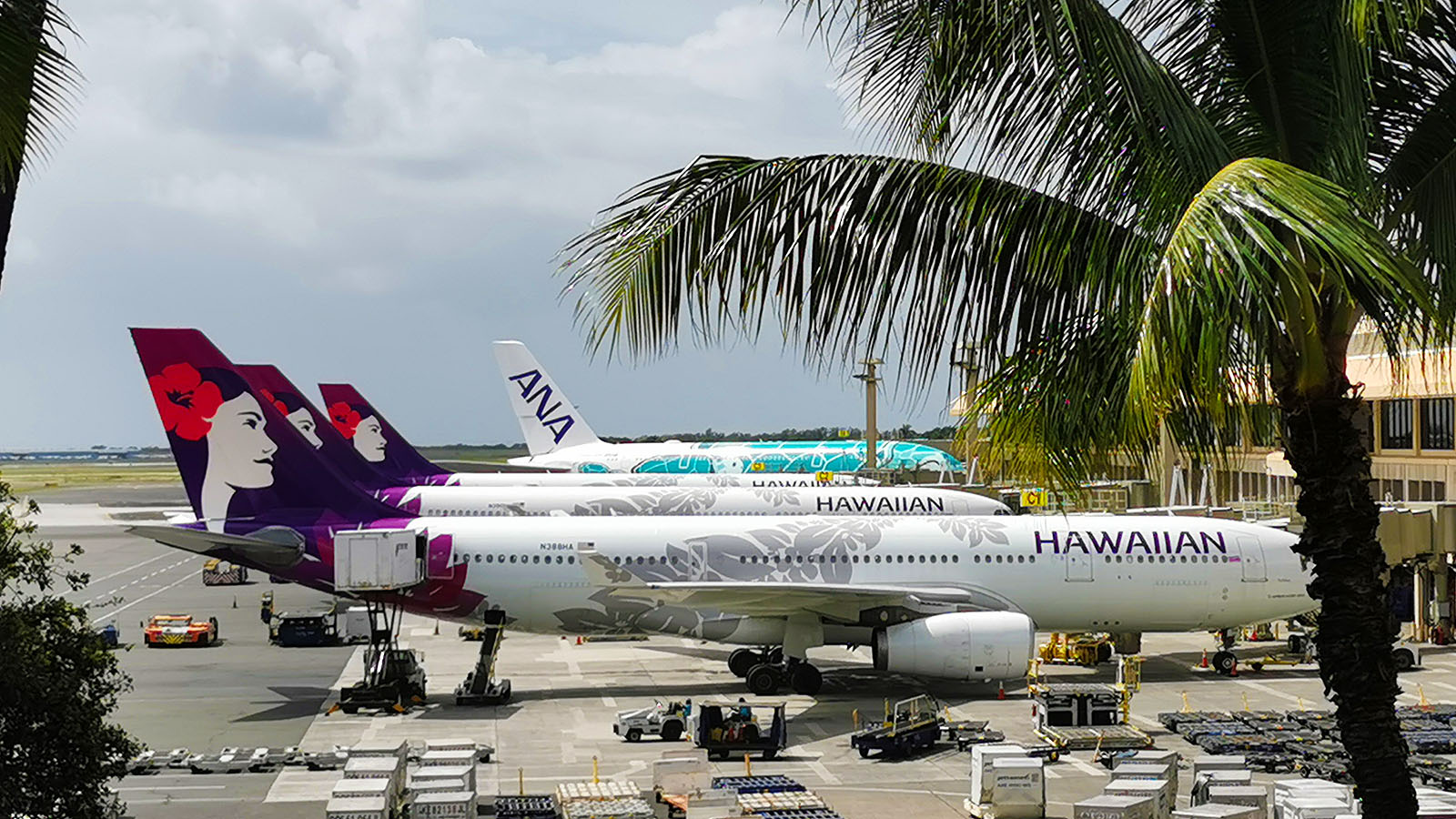 Plane parked at Honolulu Airport