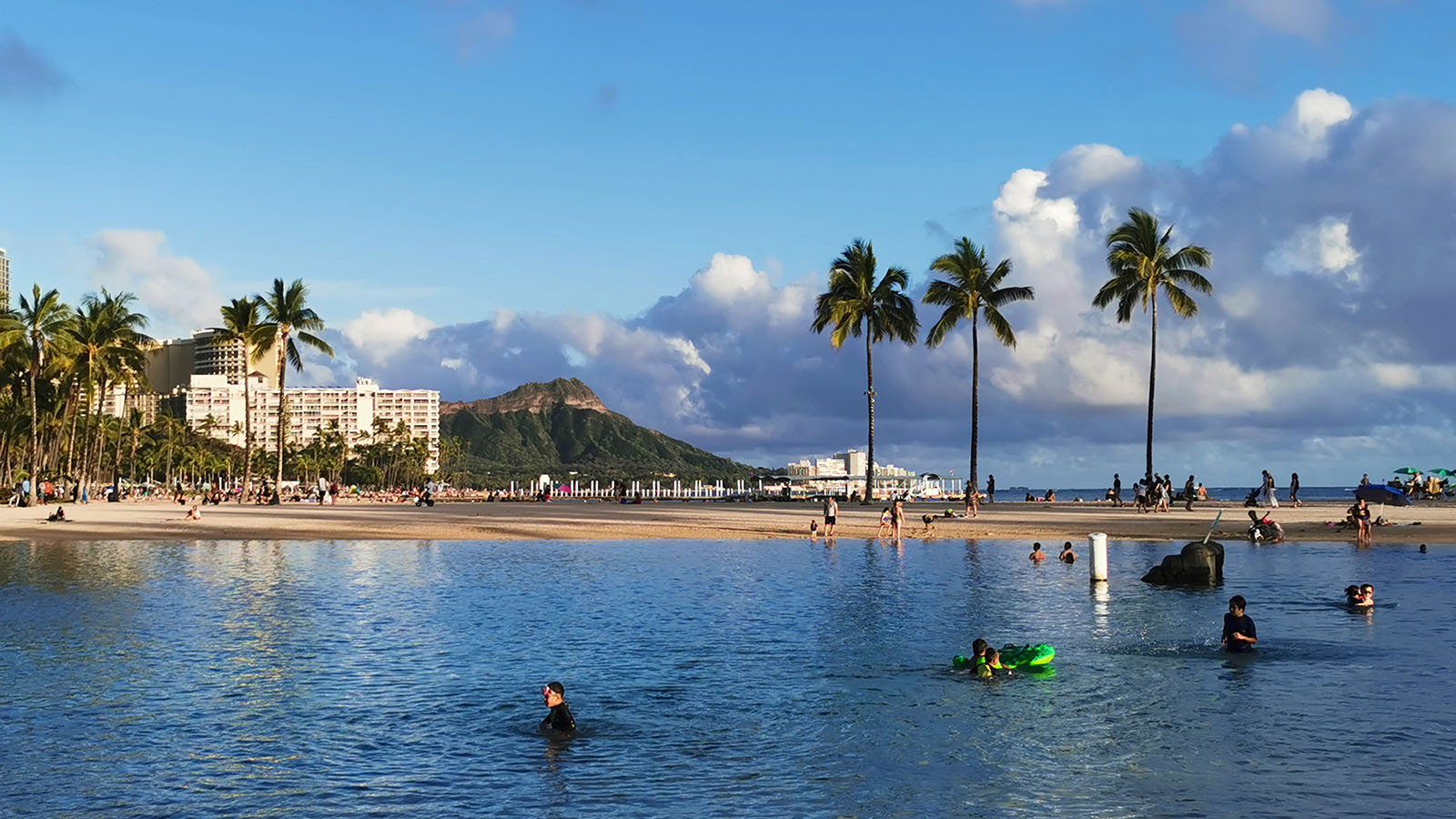 Trees, water and sand in Hawaii