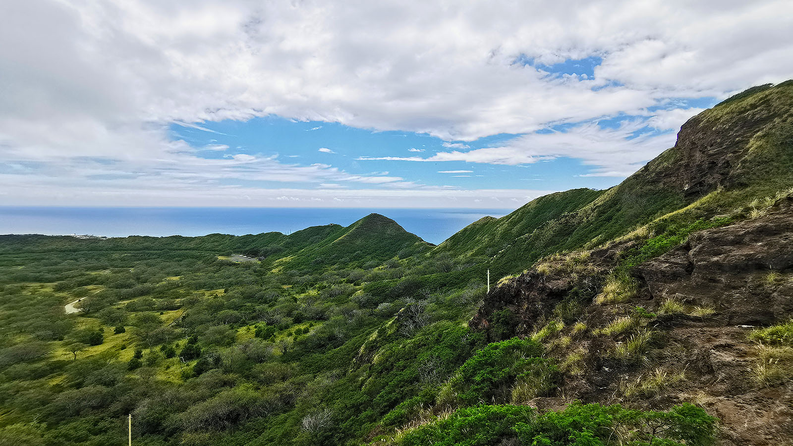 Top of Diamond Head