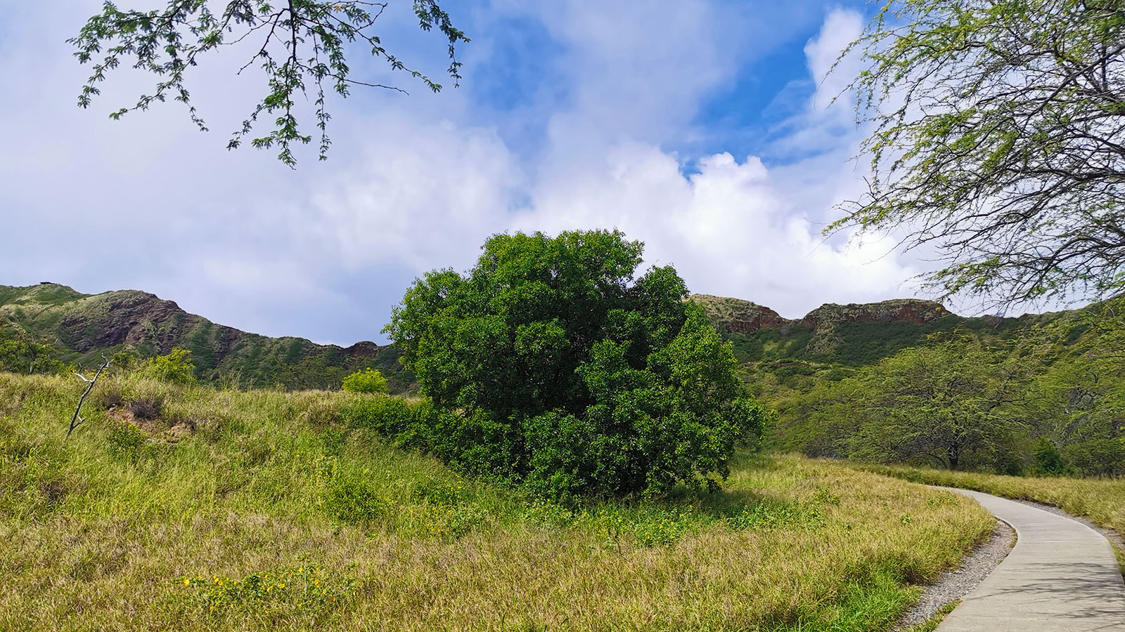 Entry to Diamond Head hiking trail