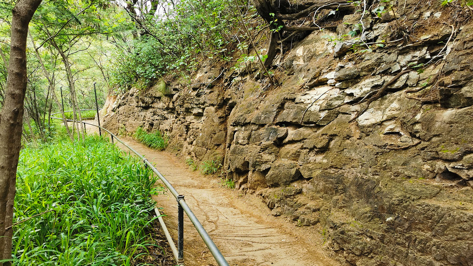 Wandering up Diamond Head