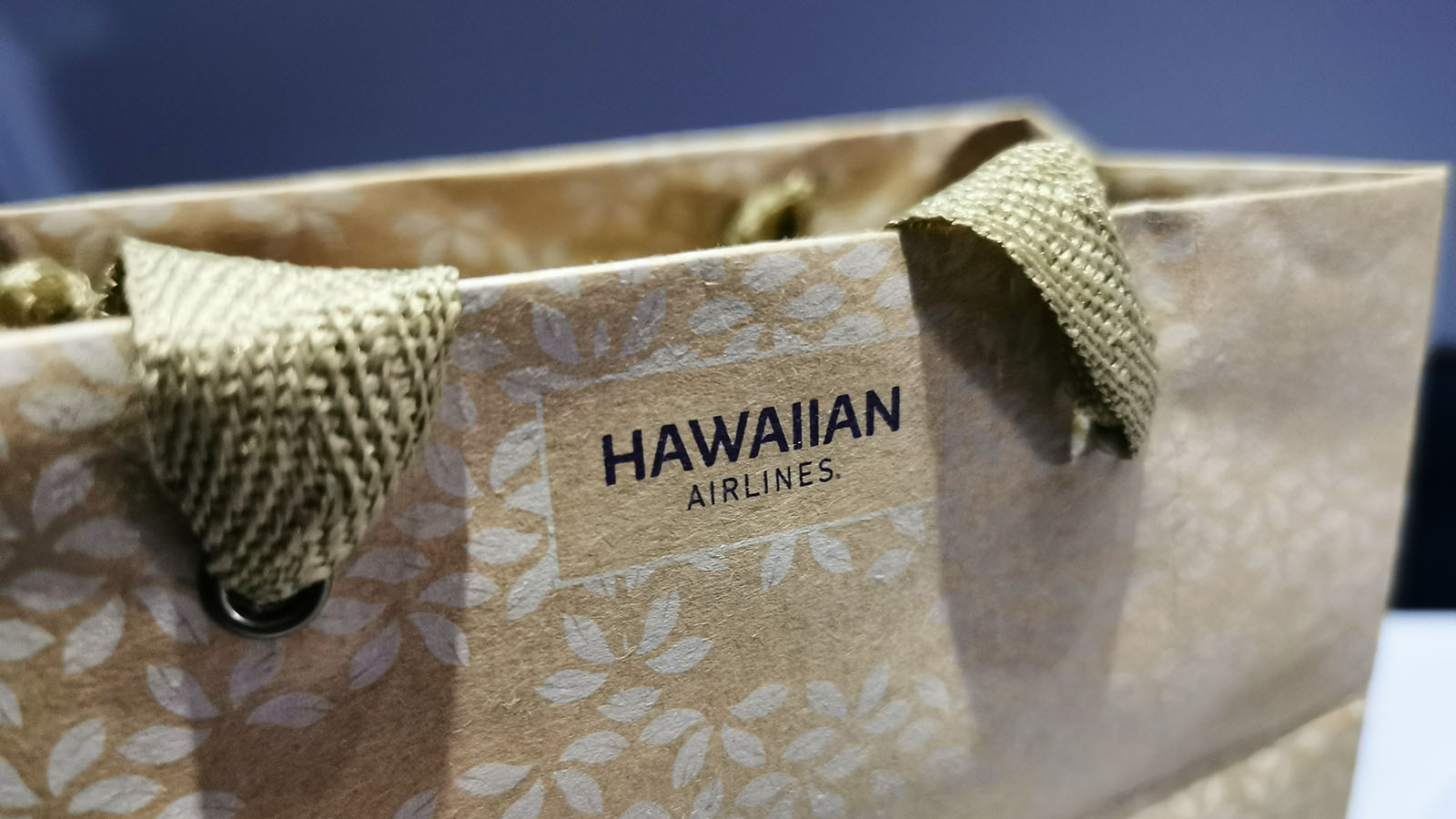 Sandwich bag on Hawaiian Airlines